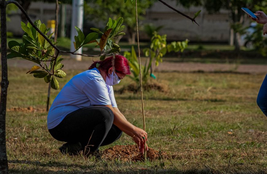 Educa O Ambiental Itinerante O Tema Da Semana Do Meio Ambiente Deste