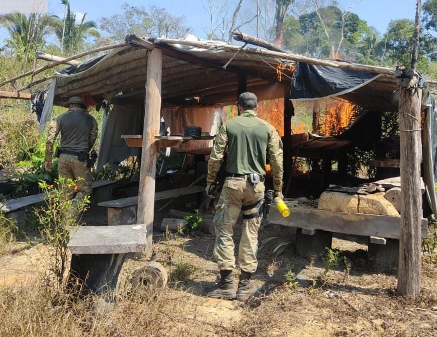 PF deflagra operação em combate aos invasores de terras indígenas em