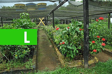 PREFEITURA LANÇA SEGUNDA ETAPA DO PROGRAMA QUE VISA RECUPERAR ÁREAS DEGRADADAS - News Rondônia