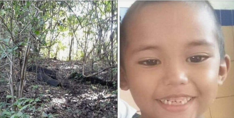 Em Manacapuru, Corpo de Bombeiros busca por criança que desapareceu na mata; família teme o pior, mas conselho tutelar alerta para investigar o padrasto - News Rondônia