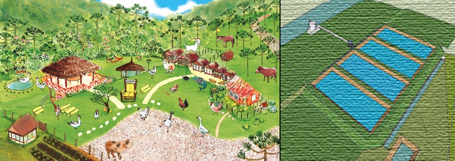 MINI-FAZENDA E CRIAÇÃO DE PEIXES: LUCRO E SATISFAÇÃO - News Rondônia