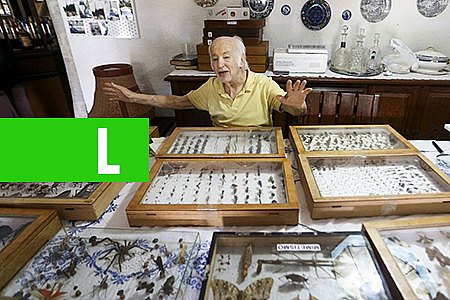 COLECIONADOR BRASILIENSE DOA 2 MIL INSETOS AO MUSEU NACIONAL DO RIO - News Rondônia