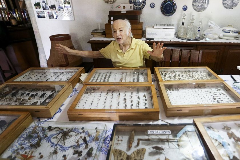 COLECIONADOR BRASILIENSE DOA 2 MIL INSETOS AO MUSEU NACIONAL DO RIO - News Rondônia