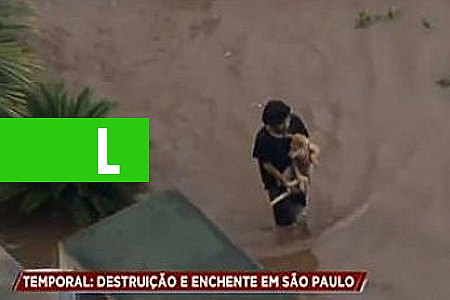 HOMEM SOCORRE CACHORRO NO MEIO DA ENCHENTE EM SÃO PAULO - VÍDEO - News Rondônia