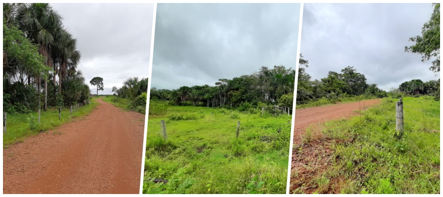 Quarta-feira de tempo firme, seco e ventilado, mas frio continua despencando os termômetros - News Rondônia