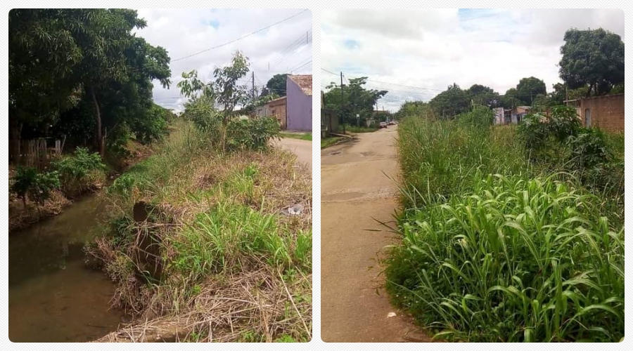 Vereadora Márcia Socorrista realiza pedido de providência e faz apelo a população - News Rondônia