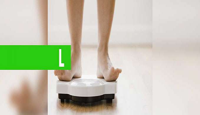 É POSSÍVEL EMAGRECER E SER FITNESS SEM FAZER DIETA? - News Rondônia