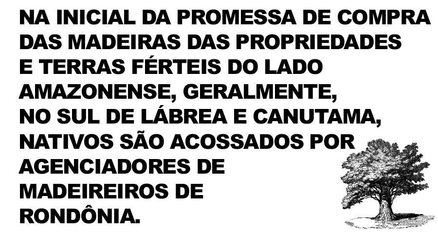 SUL DO AMAZONAS ESTÁ PRESTES A EXPLODIR PELA AÇÃO NEFASTA DE MADEIREIROS E FAZENDEIROS RONDONIENSES EM ÁREAS DEVOLUTAS DA UNIÃO - News Rondônia
