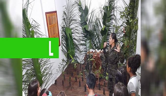 ALUNOS VISITAM O PARQUE ESTADUAL SERRA DOS REIS ENTRE COSTA MARQUES E SÃO FRANCISCO - News Rondônia