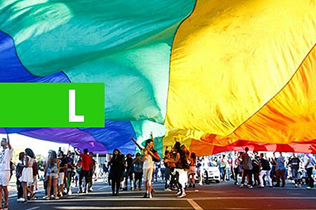 DAMARES NEGA FIM DE DIRETORIA DE PROMOÇÃO DE DIREITOS DE LGBTS - News Rondônia