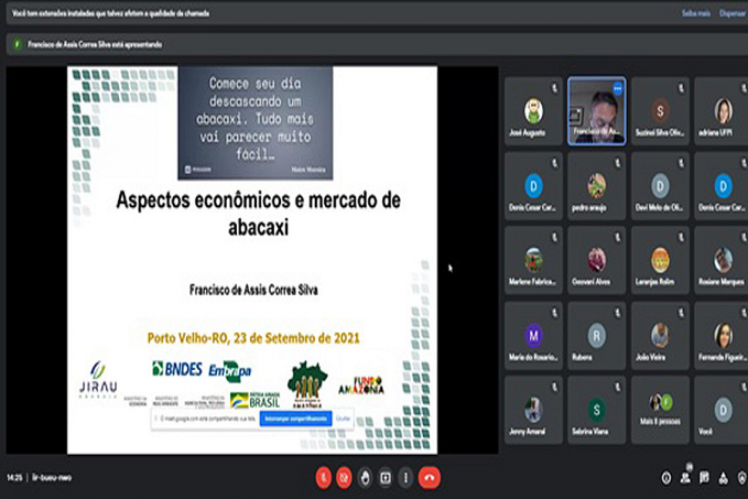 Curso capacita sobre produção de abacaxi em Rondônia - News Rondônia