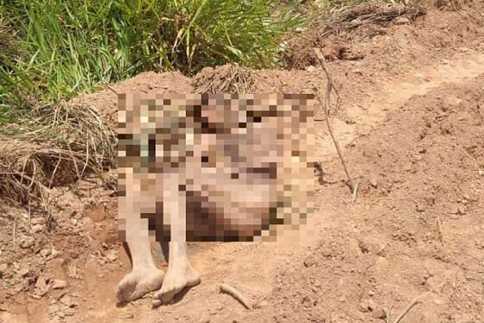 Populares encontram corpo de homem nu atrás de edifício no Centro Político - News Rondônia