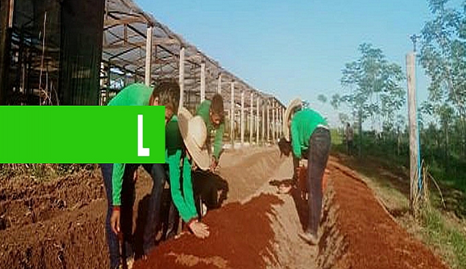 EM RONDÔNIA, FORMAÇÃO COM MEDIAÇÃO TECNOLÓGICA É APRIMORADA COM CURSOS VOLTADOS AO TRABALHO NO CAMPO - News Rondônia