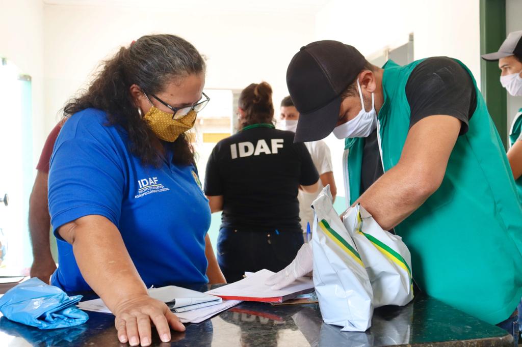 No Acre: Mulher passa mal após contato com planta germinada de semente recebida pelos Correios - News Rondônia