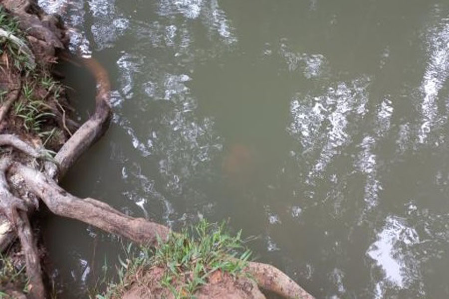 Corpo sem cabeça é encontrado em rio; crânio estava em saco de lixo - News Rondônia