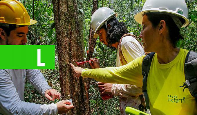 ECONOMIA VERDE - Inventário florestal da Resex do Rio Cautário revela espécies nobres de árvores e plantas medicinais - News Rondônia