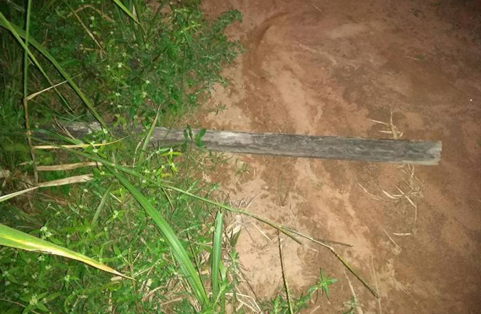 Suspeito de matar mãe de PM com paulada na cabeça é liberado - News Rondônia