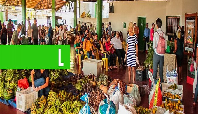 PROGRAMA DE AQUISIÇÃO DE ALIMENTOS BENEFICIA MAIS DE 100 PRODUTORES DA AGRICULTURA FAMILIAR DE PORTO VELHO - News Rondônia