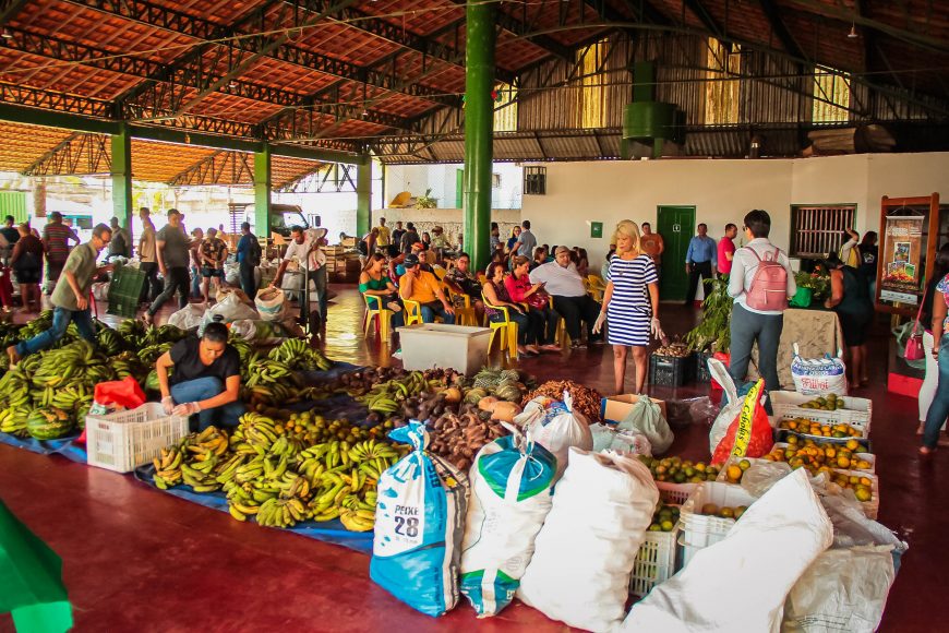 PROGRAMA DE AQUISIÇÃO DE ALIMENTOS BENEFICIA MAIS DE 100 PRODUTORES DA AGRICULTURA FAMILIAR DE PORTO VELHO - News Rondônia