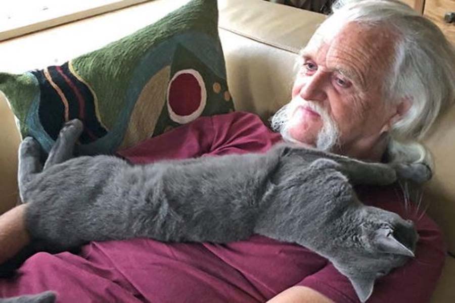 Artista cria arbustos surreais em homenagem a seu gatinho falecido - News Rondônia