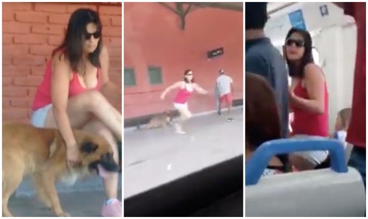 MULHER ENGANA SEU CACHORRO COM CARÍCIAS E O ABANDONA EM TREM; ASSISTA AO VÍDEO - News Rondônia