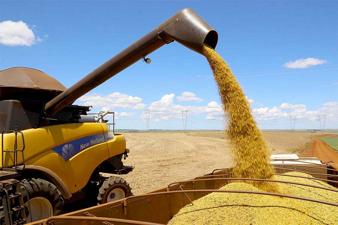 PGPM-Bio conta com novos preços mínimos para safra 2022 - News Rondônia