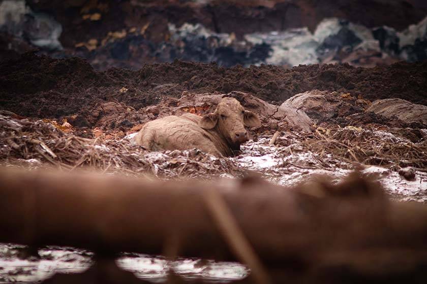 IMAGENS QUE FALAM POR SI: TRAGÉDIA EM BRUMADINHO (PARTE 1 ) - News Rondônia