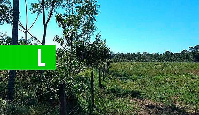 Embrapa e Rioterra unem esforços para a recuperação de áreas degradadas em Rondônia - News Rondônia