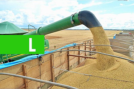 COREIA DO SUL QUER IMPORTAR MAIS DE 10 MILHÕES DE TONELADAS DA SOJA PRODUZIDA EM RONDÔNIA - News Rondônia