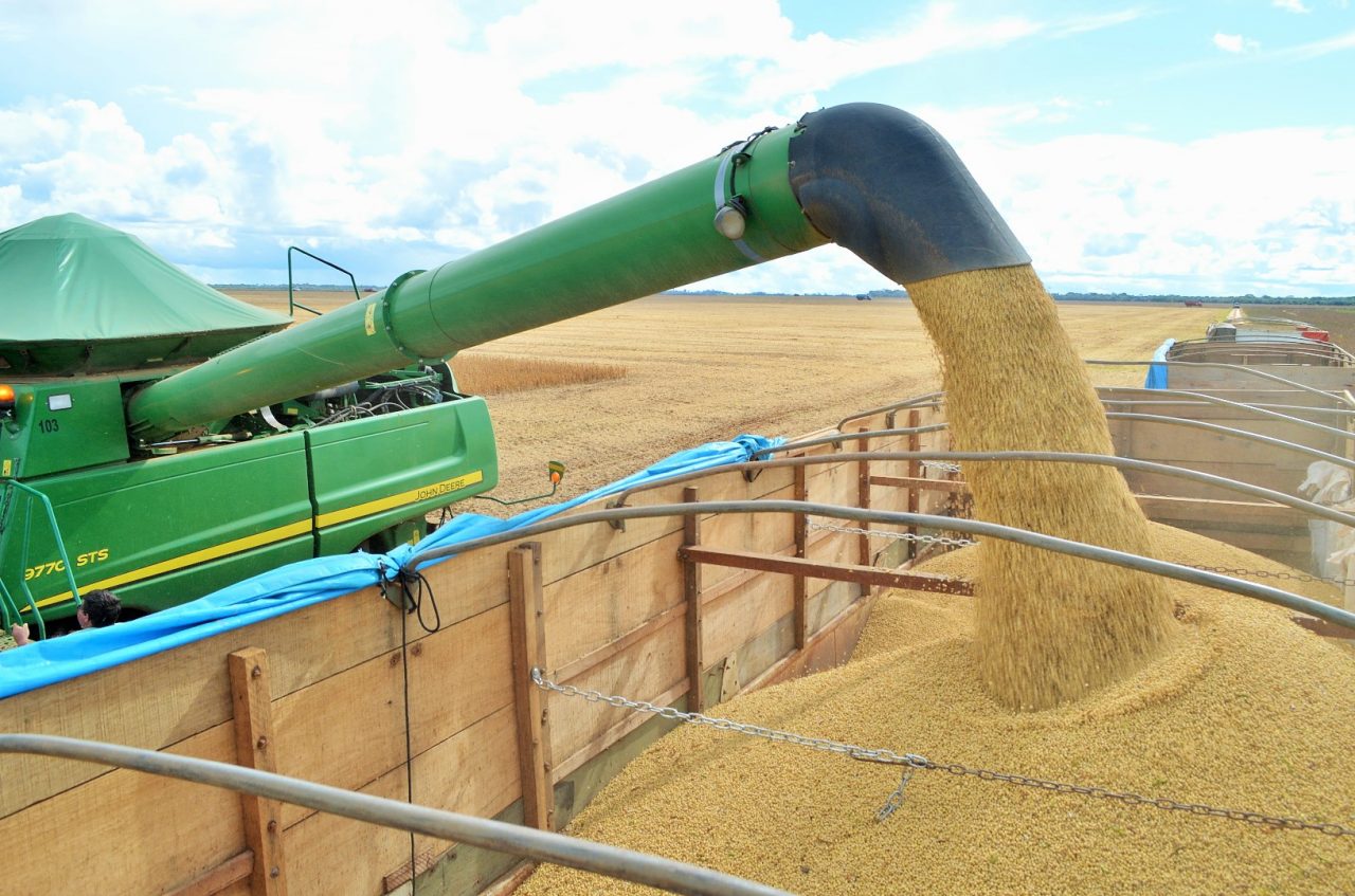 COREIA DO SUL QUER IMPORTAR MAIS DE 10 MILHÕES DE TONELADAS DA SOJA PRODUZIDA EM RONDÔNIA - News Rondônia