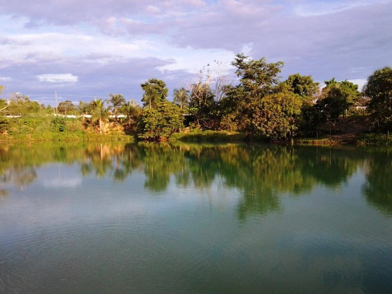 PARA ADERIR AO PROGRAMA DE REGULARIZAÇÃO AMBIENTAL, PRODUTOR TEM ATÉ O FINAL DE 2020 PARA FAZER O CADASTRO AMBIENTAL RURAL - News Rondônia