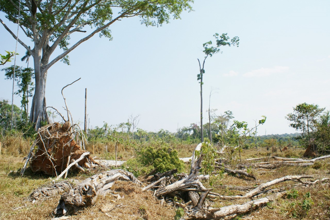 HISTÓRIA DE RONDÔNIA: OSWALDO PIANA, O 'FILHO DA TERRA' NO PODER, FEZ O PRIMEIRO LINHÃO ENERGÉTICO - News Rondônia