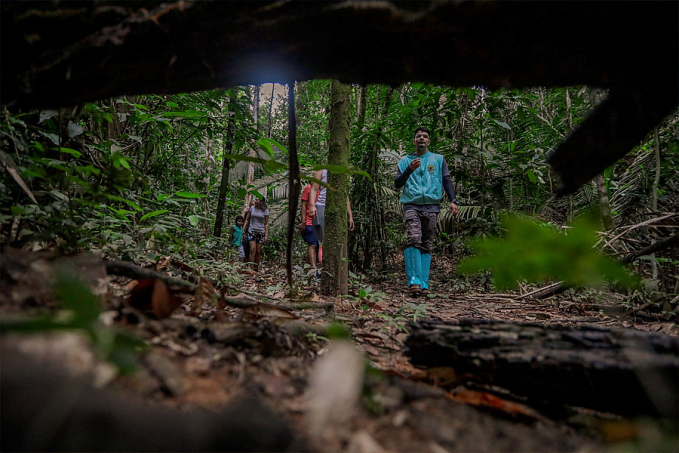 UNIDADE DE CONSERVAÇÃO - Parque Natural de Porto Velho recebeu mais de 33 mil visitantes em 2021 - News Rondônia
