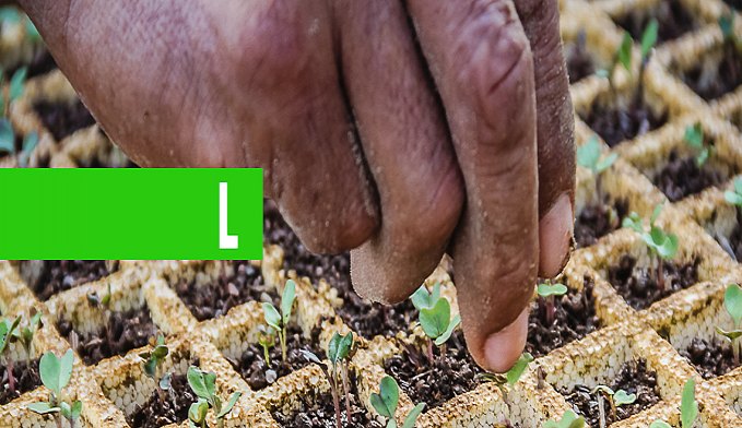 MAIS DE 120 MIL PROPRIEDADES RURAIS JÁ FORAM INSERIDAS NO CADASTRO AMBIENTAL RURAL EM RONDÔNIA - News Rondônia