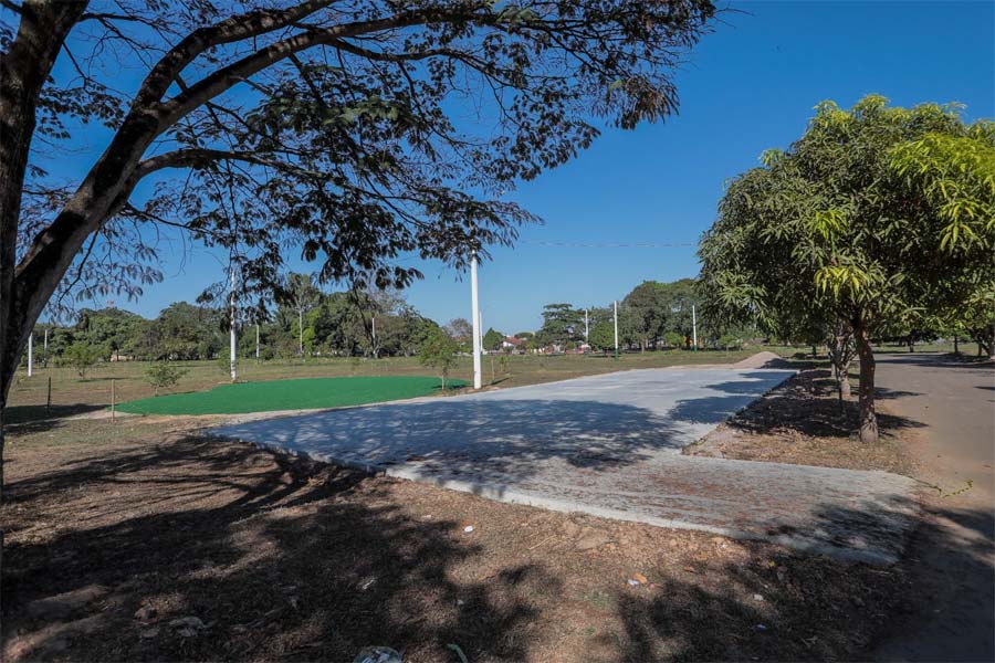 MEIO AMBIENTE - Escolas participam de ato em comemoração ao Dia da Árvore na próxima terça-feira (21) - News Rondônia