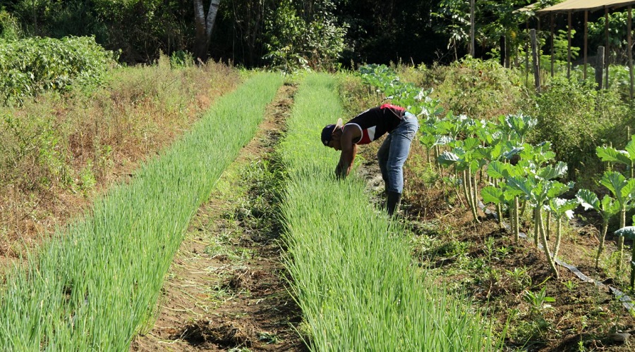 VENDA DE TERRAS DA UNIÃO PODE CAUSAR CONVULSÃO SOCIAL NO SETOR CHACAREIRO JARDIM SANTANA E DOS PERIQUITOS - News Rondônia