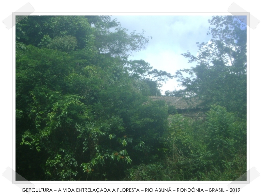 Varadouros da PAN-Amazônia  Por Marquelino Santana - News Rondônia