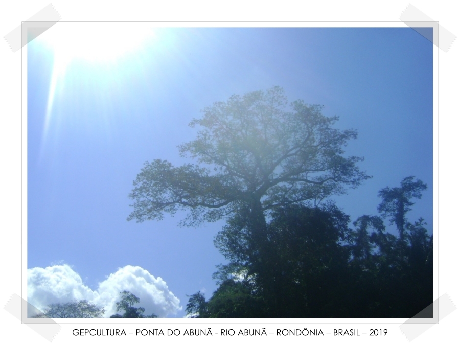 Varadouros da PAN-Amazônia  Por Marquelino Santana - News Rondônia