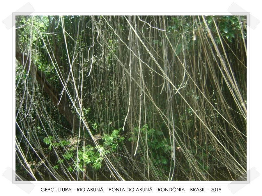 Varadouros da PAN-Amazônia  Por Marquelino Santana - News Rondônia