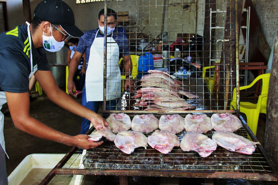 Festival Nacional do Tambaqui da Amazônia mobiliza produtores de peixe da região Central de Rondônia - News Rondônia