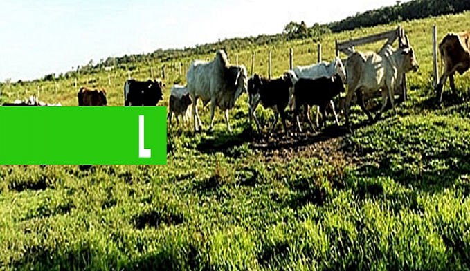 COMEÇA HOJE PRAZO PARA ENTREGA DA DECLARAÇÃO DE PROPRIEDADE RURAL - News Rondônia