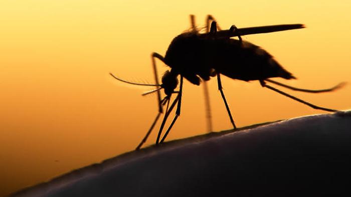 PENSÃO VITALÍCIA PARA CRIANÇAS COM MICROCEFALIA DECORRENTE DO ZIKA VÍRUS - News Rondônia