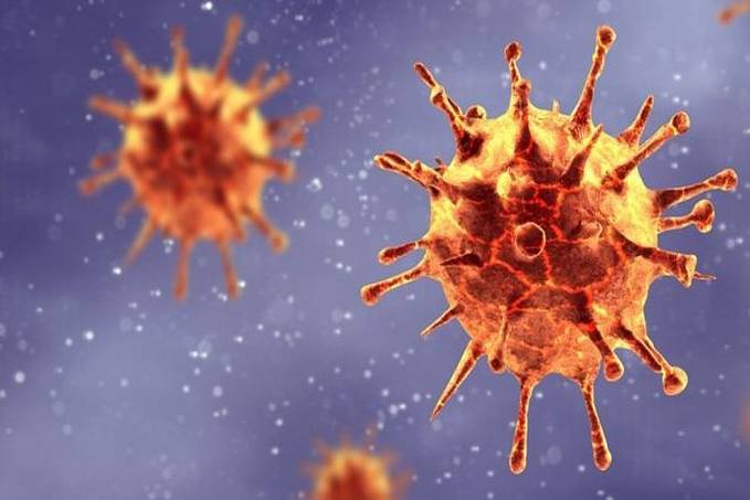 Ministério da Saúde confirma reinfecção por nova variante brasileira do coronavírus - News Rondônia