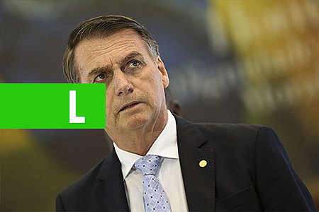 BOLSONARO CHEGA A BRASÍLIA E AVALIA NOMES PARA O MEIO AMBIENTE - News Rondônia