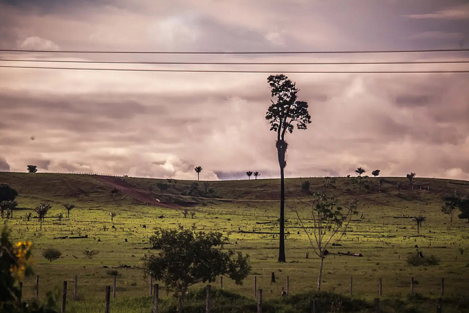 Chuvas intensas farão nível dos rios subir; a partir do dia 11 alerta para chuvas torrenciais em Rondônia - News Rondônia
