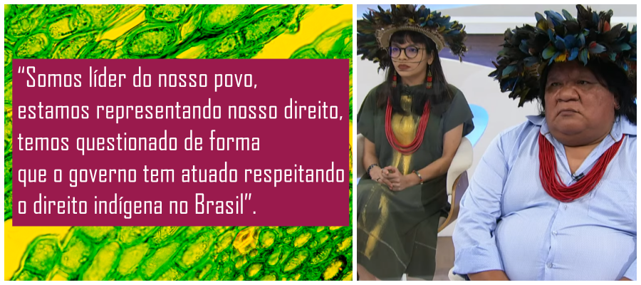Entrevista com Txaí Suruí e Almir Suruí de Rondônia no Roda Viva marca um levante indígena em quase 500 anos do descobrimento - News Rondônia