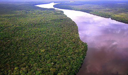 A DÍVIDA COM A AMAZÔNIA - POR CARLOS SPERANÇA - News Rondônia