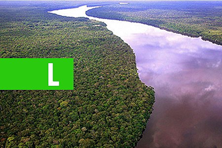 A DÍVIDA COM A AMAZÔNIA - POR CARLOS SPERANÇA - News Rondônia