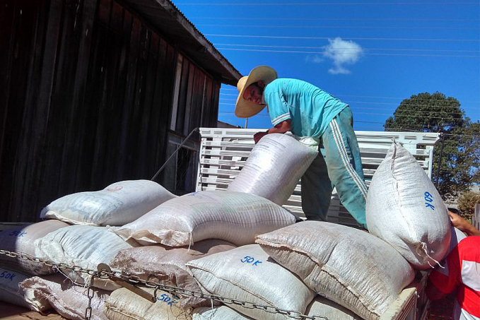 Rondônia deve produzir 4,4 mil toneladas de feijão na safra 2020/2021; área plantada é de 3,9 mil hectares - News Rondônia
