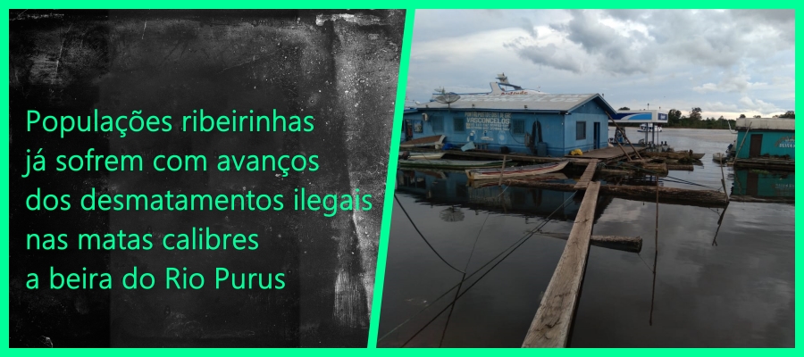 Acusados de compra de terras e crimes ambientais no bioma rio Purus começam aparecer - News Rondônia